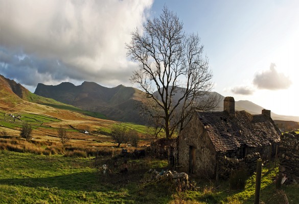 Cors y Fron - Hawlfraint / Copyright Iestyn Roberts www.IestynRoberts.com