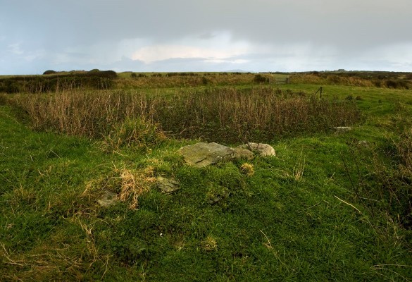 Eglwys Sant Merin's Church - Hawlfraint Ein Treftadaeth / Copyright Our Heritage