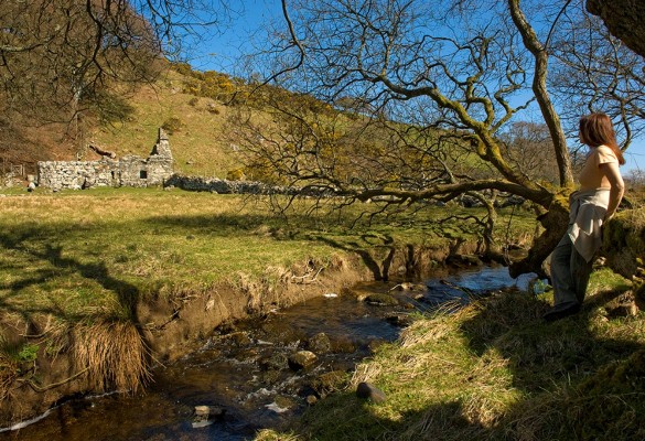 Ffynnon Gybi / St Cybi's Well - Hawlfraint Ein Treftadaeth / Copyright Our Heritage