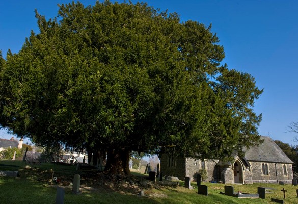 Eglwys Gwytherin Church - Hawlfraint Ein Treftadaeth / Copyright Our Heritage