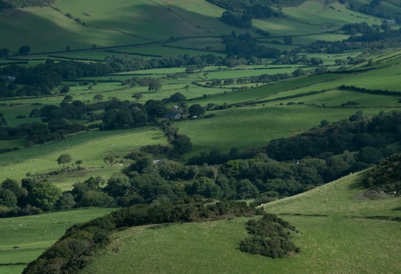 Castell Cynfael - Hawlfraint / Copyright Sarah McCarthy 