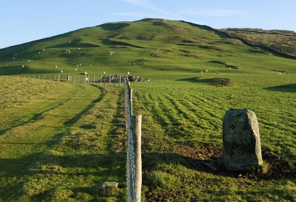 Moel Goedog - Hawlfraint Ein Treftadaeth / Copyright Our Heritage