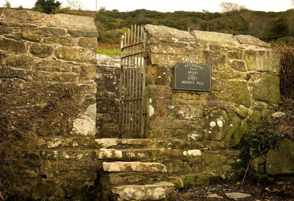 Ffynnon St Beuno's Well - Hawlfraint Ein Treftadaeth / Copyright Our Heritage