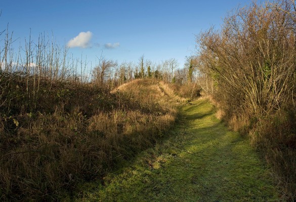 Castell Cawr - Hawlfraint Ein Treftadaeth / Copyright Our Heritage