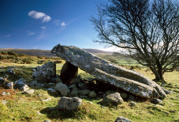 Cors y Gedol - Hawlfraint / Copyright Mick Sharp 